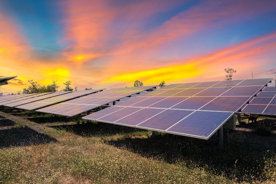 Can Melbourne’s Solar Sponge Be a Success in the Post-COVID-19 Era?