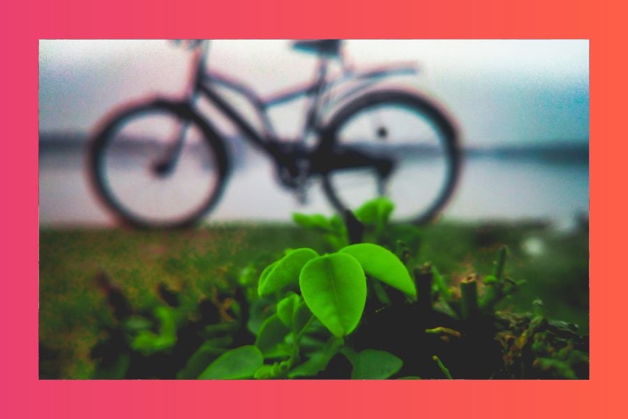 Comparing Australia and Japan in Going Green