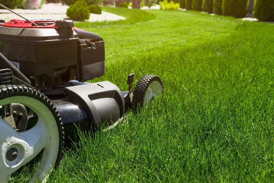 Pushing Forward the Solar-powered Lawn Mower