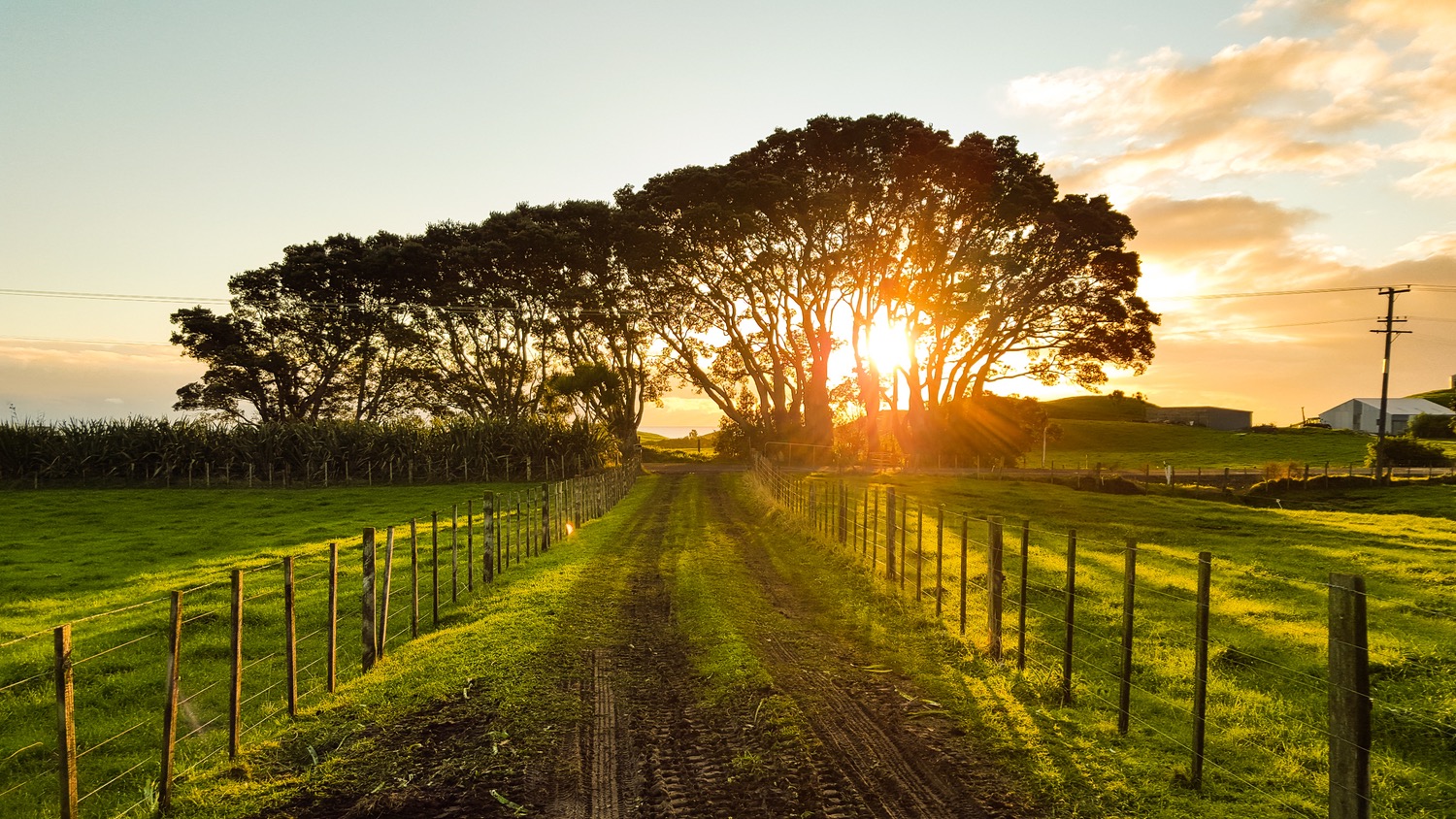 WA to Raise Rooftop Capacity and Go For 40pc Renewables by 2030