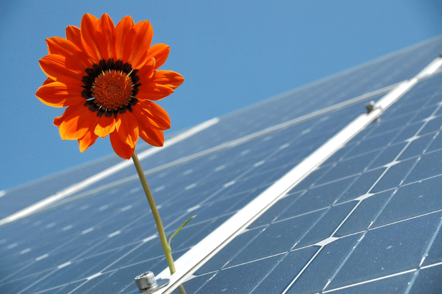 This Week in Solar: The Future of Solar